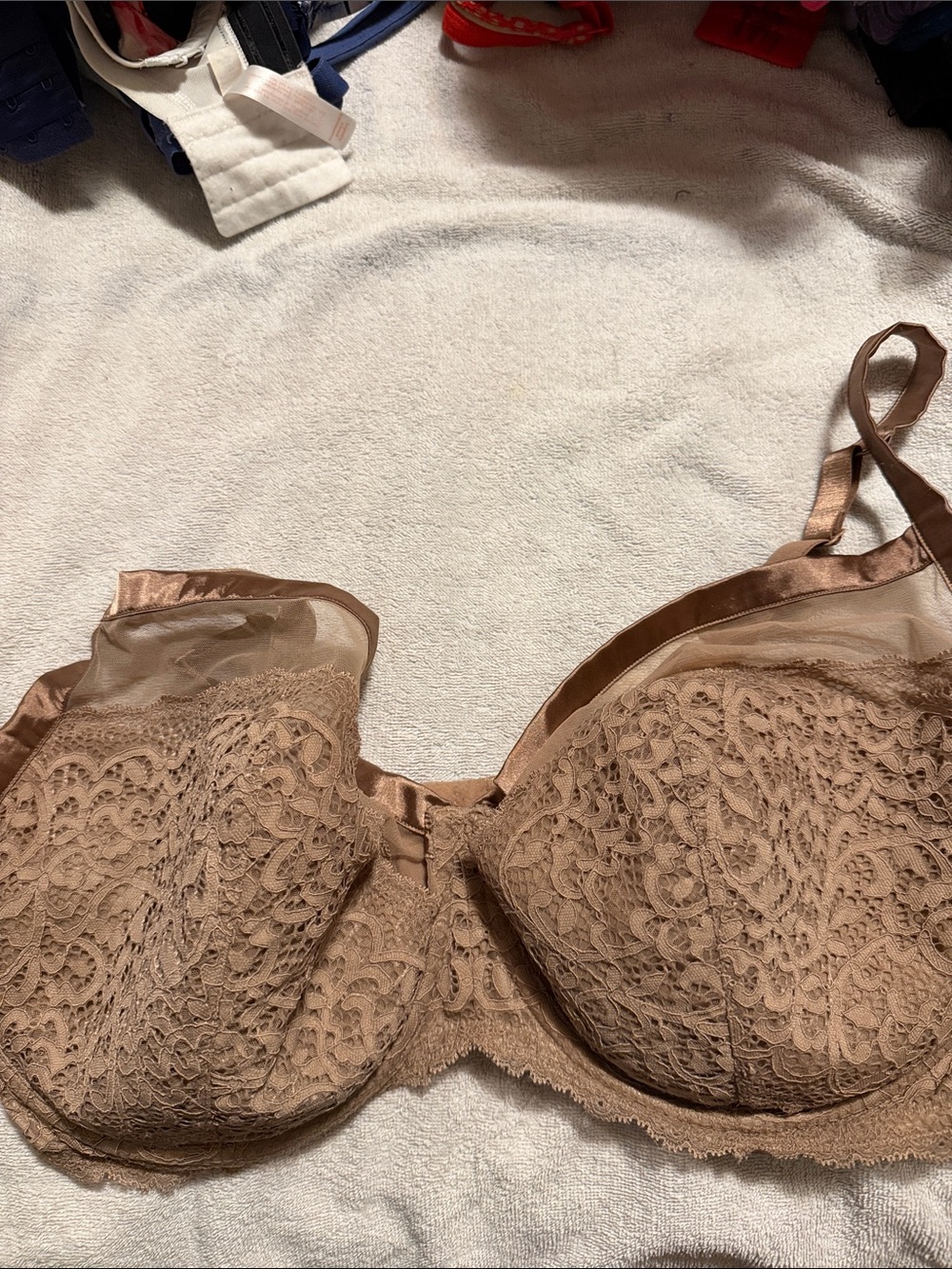 Cacique Underwire Brown Bra Lace Mesh Size 42H
